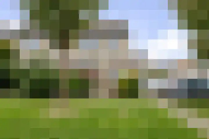 Druwerbrink 406 Emmen thumbnail 39