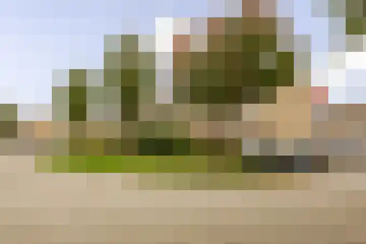 Druwerbrink 406 Emmen thumbnail 42