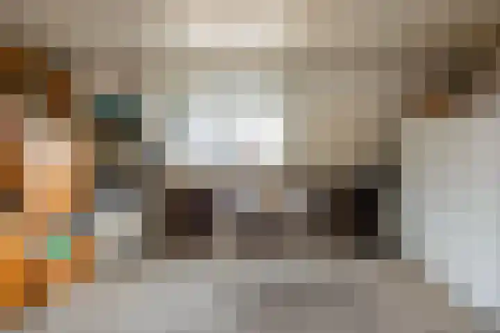 Druyvesteynstraat 7 Alkmaar thumbnail 22