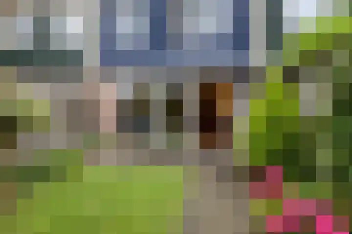 Druyvesteynstraat 7 Alkmaar thumbnail 25