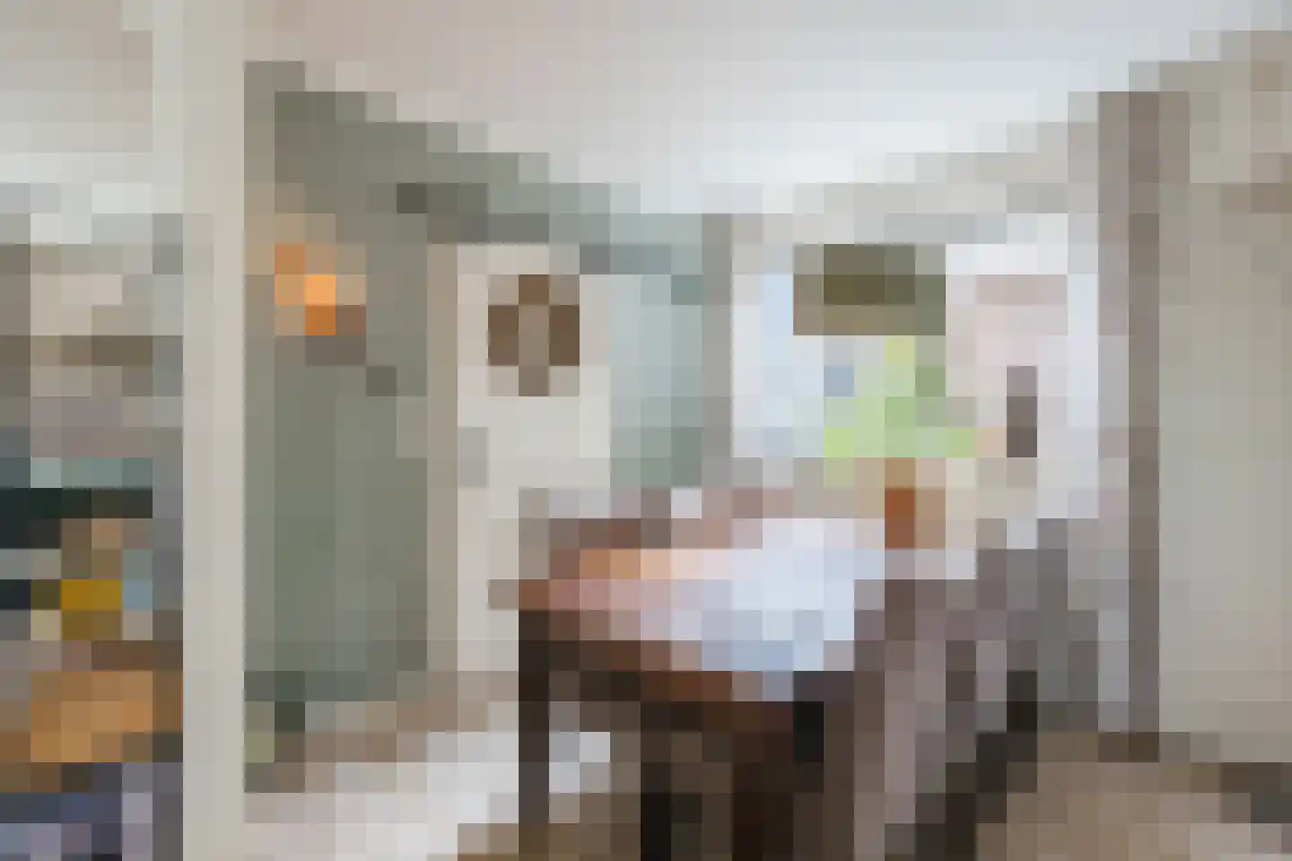 Ds A.C. van Raalteweg 1 Wanneperveen thumbnail 10