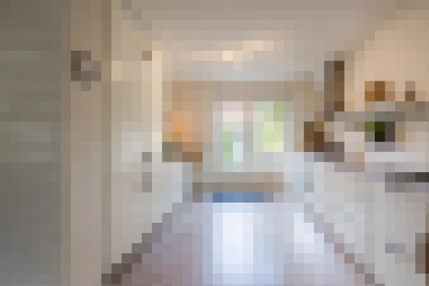 Ds A.C. van Raalteweg 1 Wanneperveen thumbnail 12