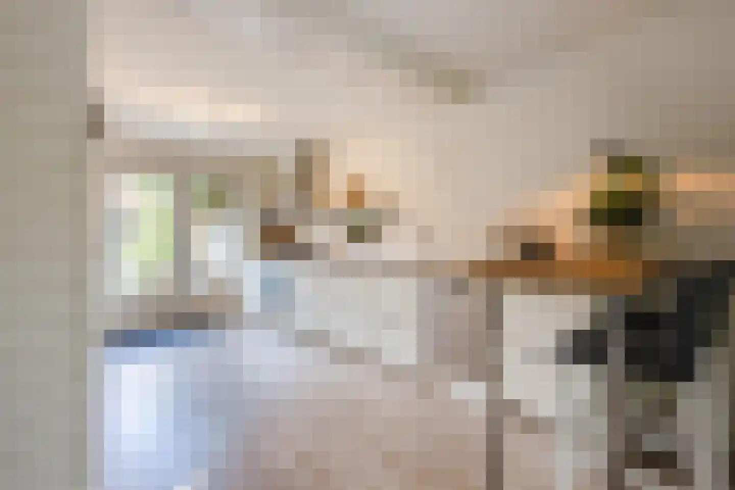 Ds A.C. van Raalteweg 1 Wanneperveen thumbnail 13