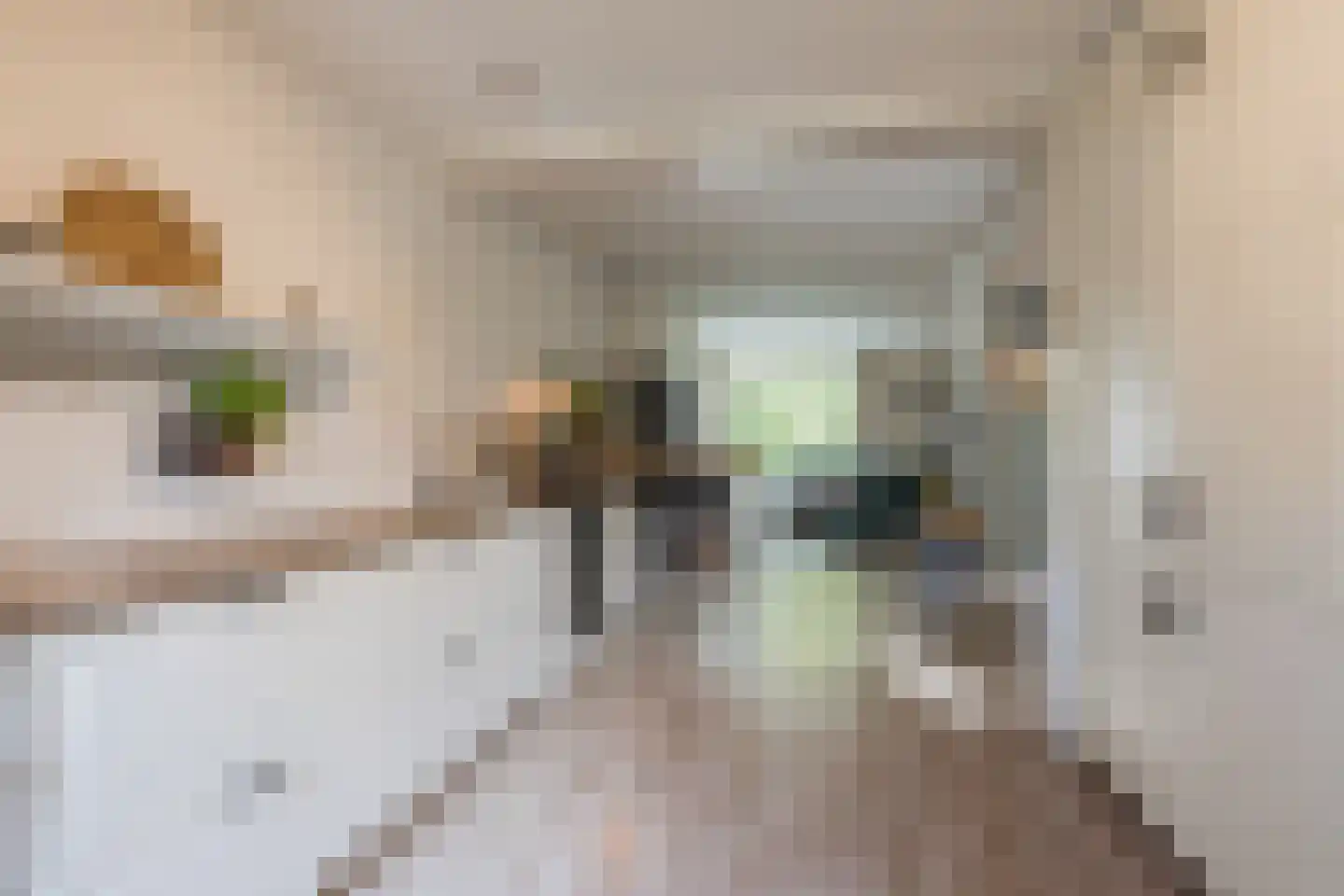 Ds A.C. van Raalteweg 1 Wanneperveen thumbnail 15