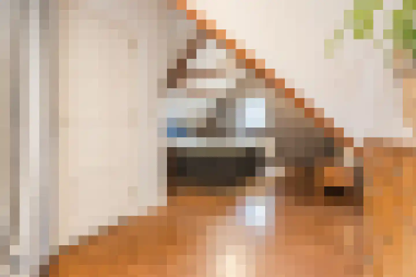Ds A.C. van Raalteweg 1 Wanneperveen thumbnail 18