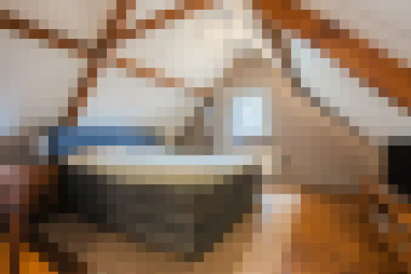 Ds A.C. van Raalteweg 1 Wanneperveen thumbnail 19