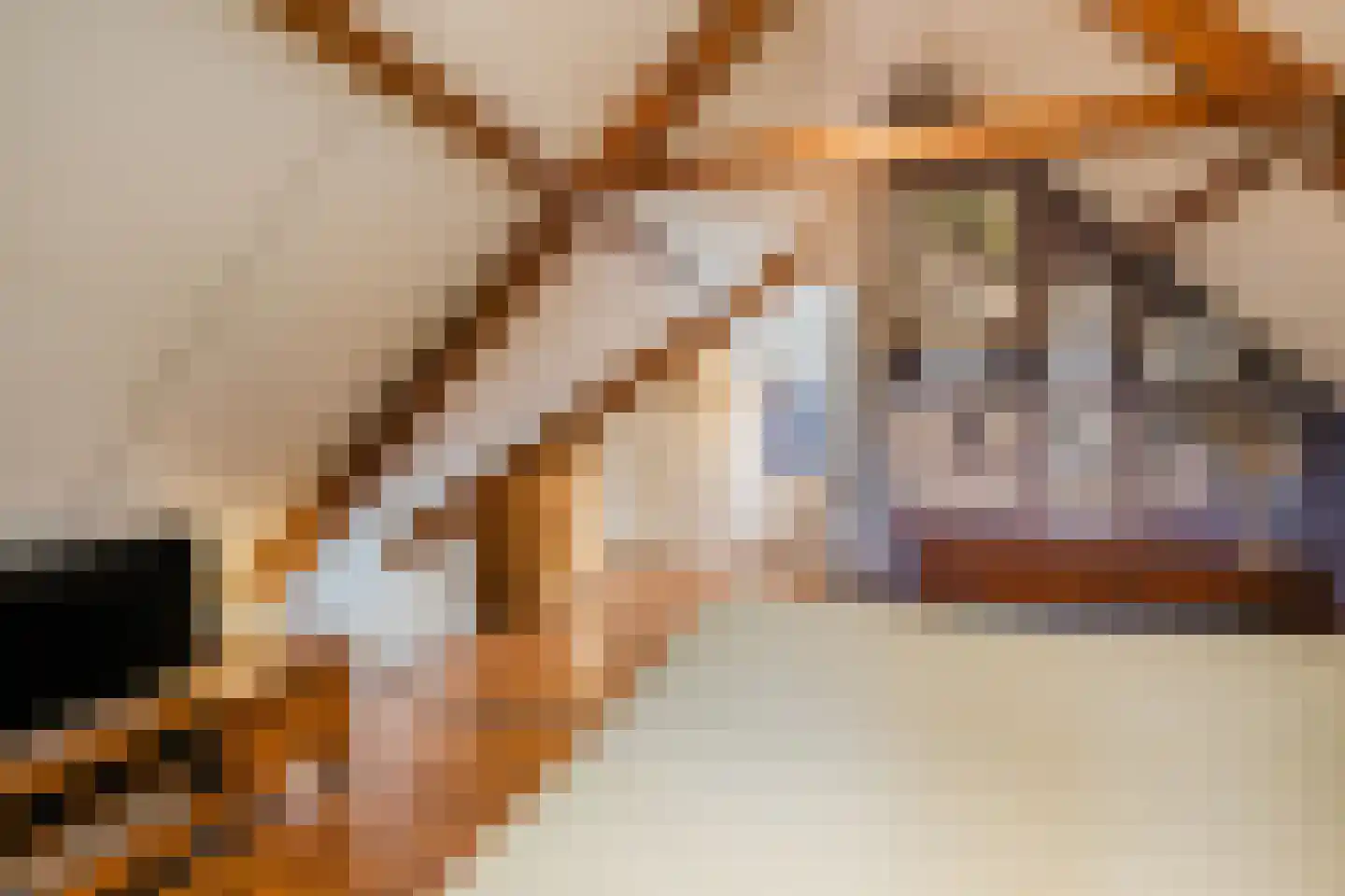 Ds A.C. van Raalteweg 1 Wanneperveen thumbnail 21