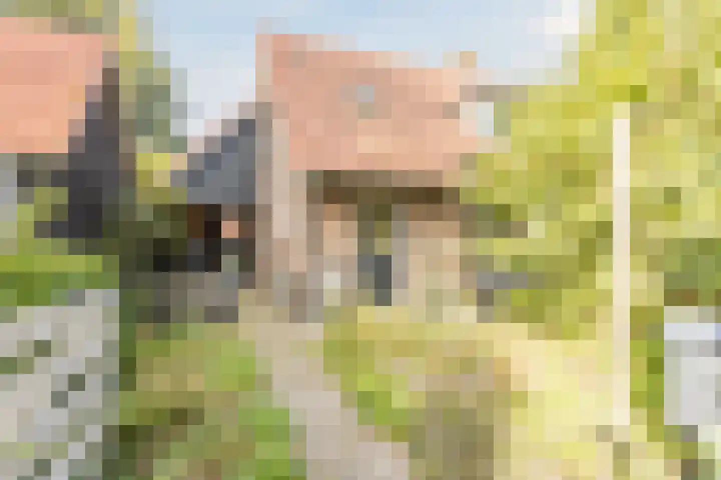 Ds A.C. van Raalteweg 1 Wanneperveen thumbnail 30