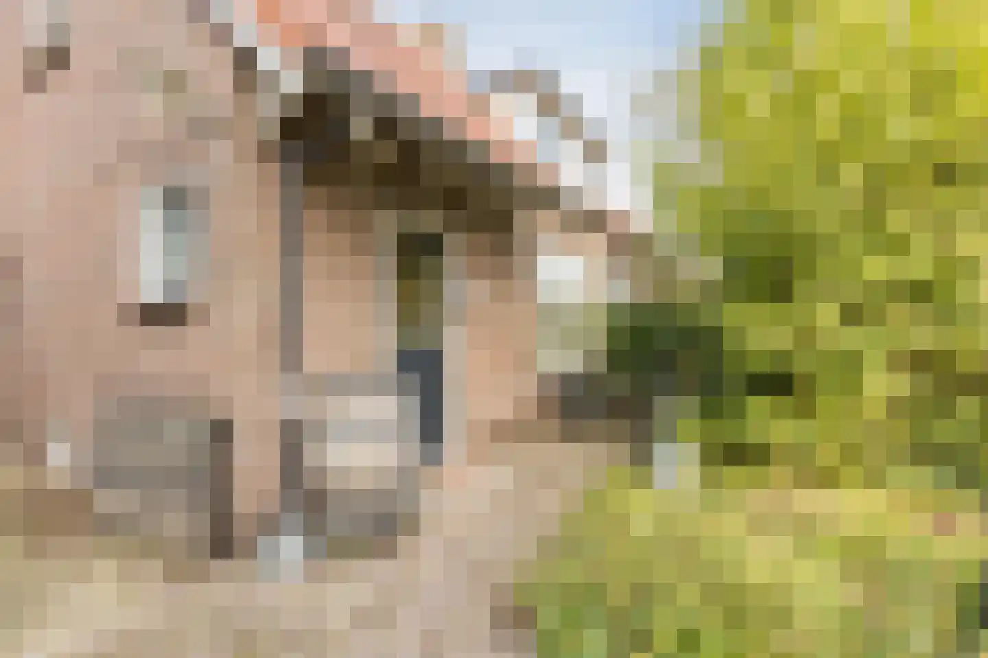 Ds A.C. van Raalteweg 1 Wanneperveen thumbnail 31