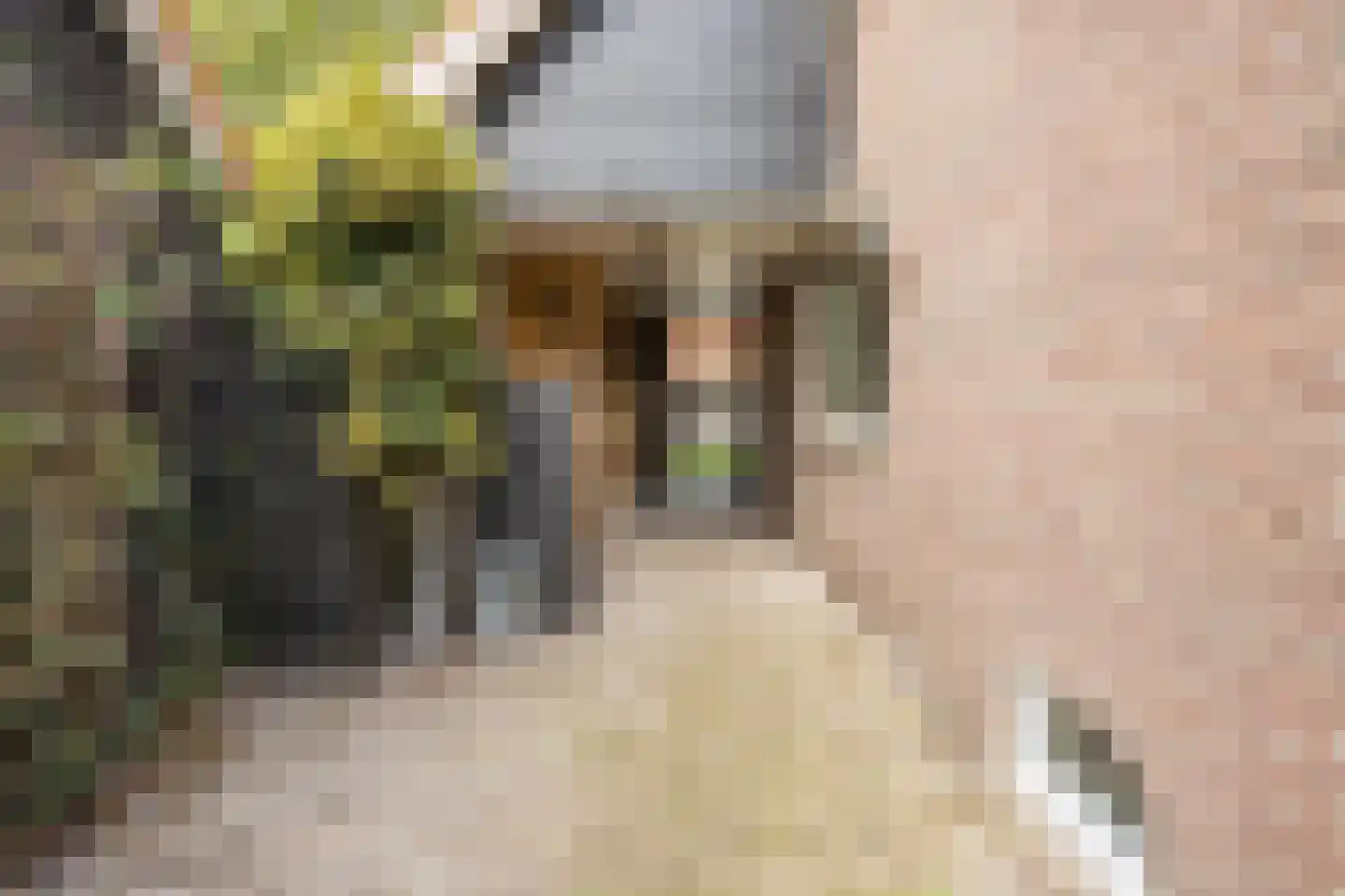 Ds A.C. van Raalteweg 1 Wanneperveen thumbnail 32