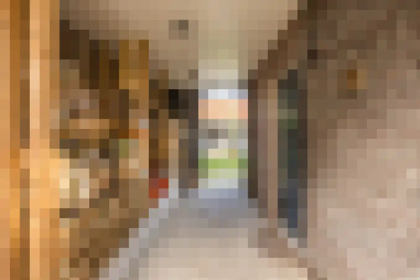 Ds A.C. van Raalteweg 1 Wanneperveen thumbnail 33