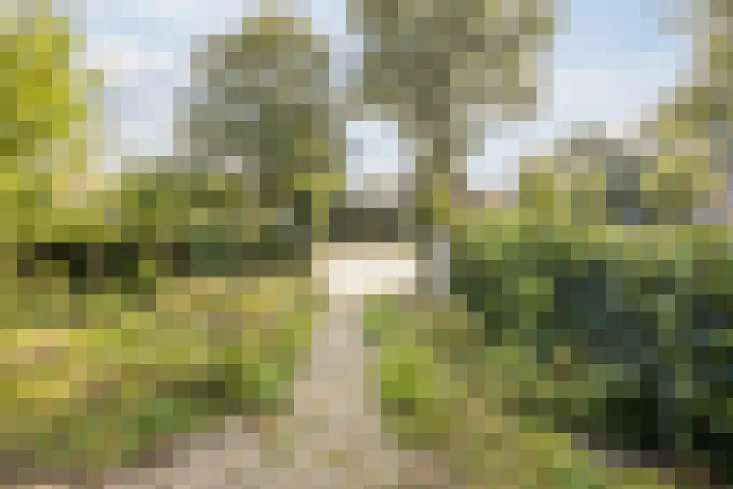 Ds A.C. van Raalteweg 1 Wanneperveen thumbnail 34