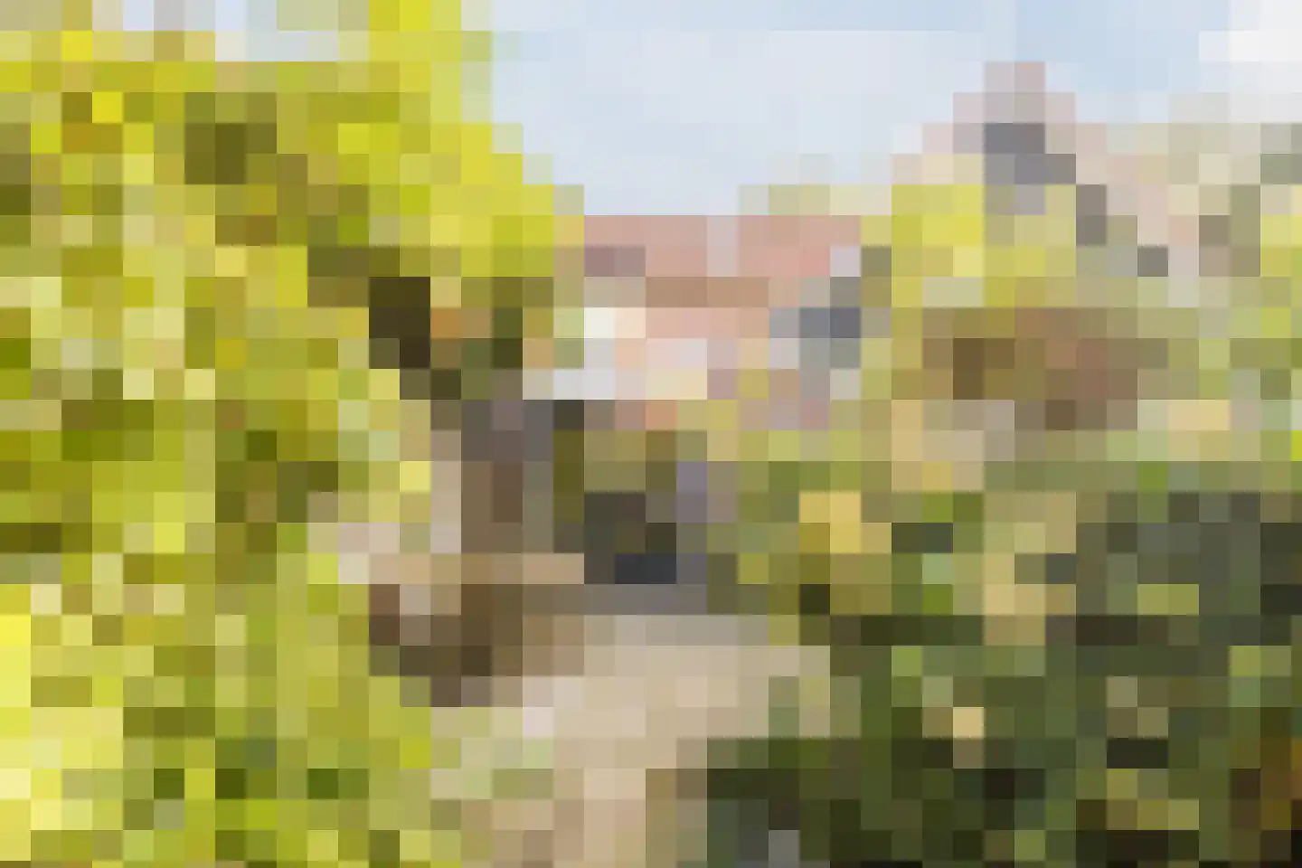 Ds A.C. van Raalteweg 1 Wanneperveen thumbnail 36