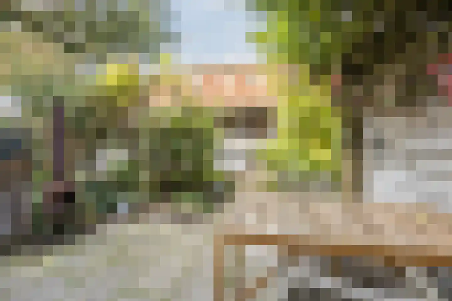 Ds A.C. van Raalteweg 1 Wanneperveen thumbnail 39