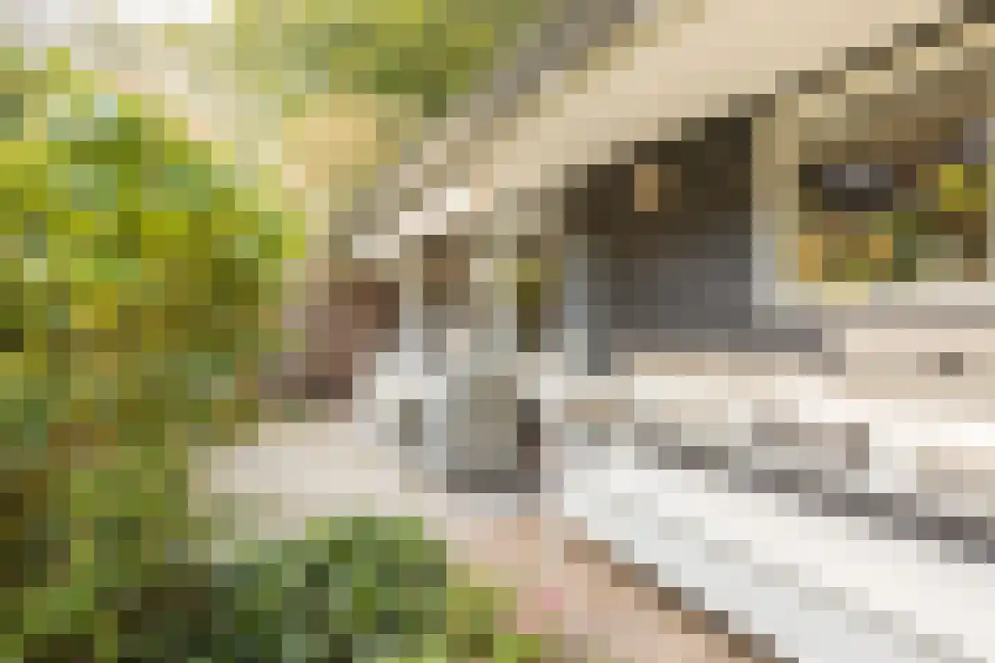 Ds A.C. van Raalteweg 1 Wanneperveen thumbnail 41