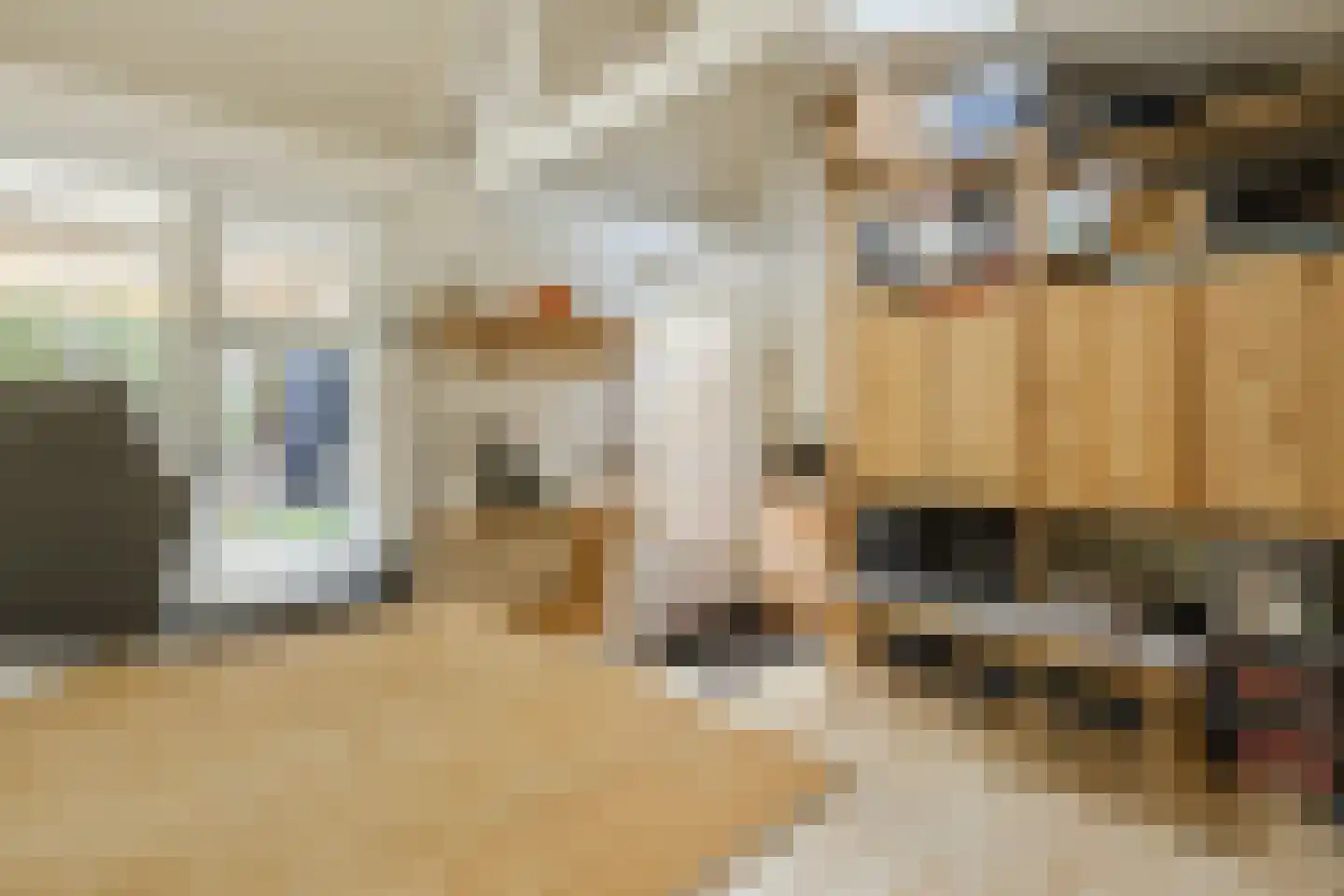 Ds A.C. van Raalteweg 1 Wanneperveen thumbnail 43