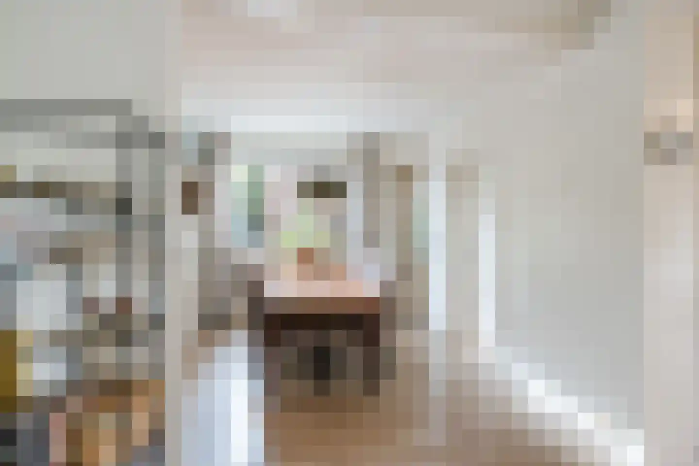 Ds A.C. van Raalteweg 1 Wanneperveen thumbnail 9