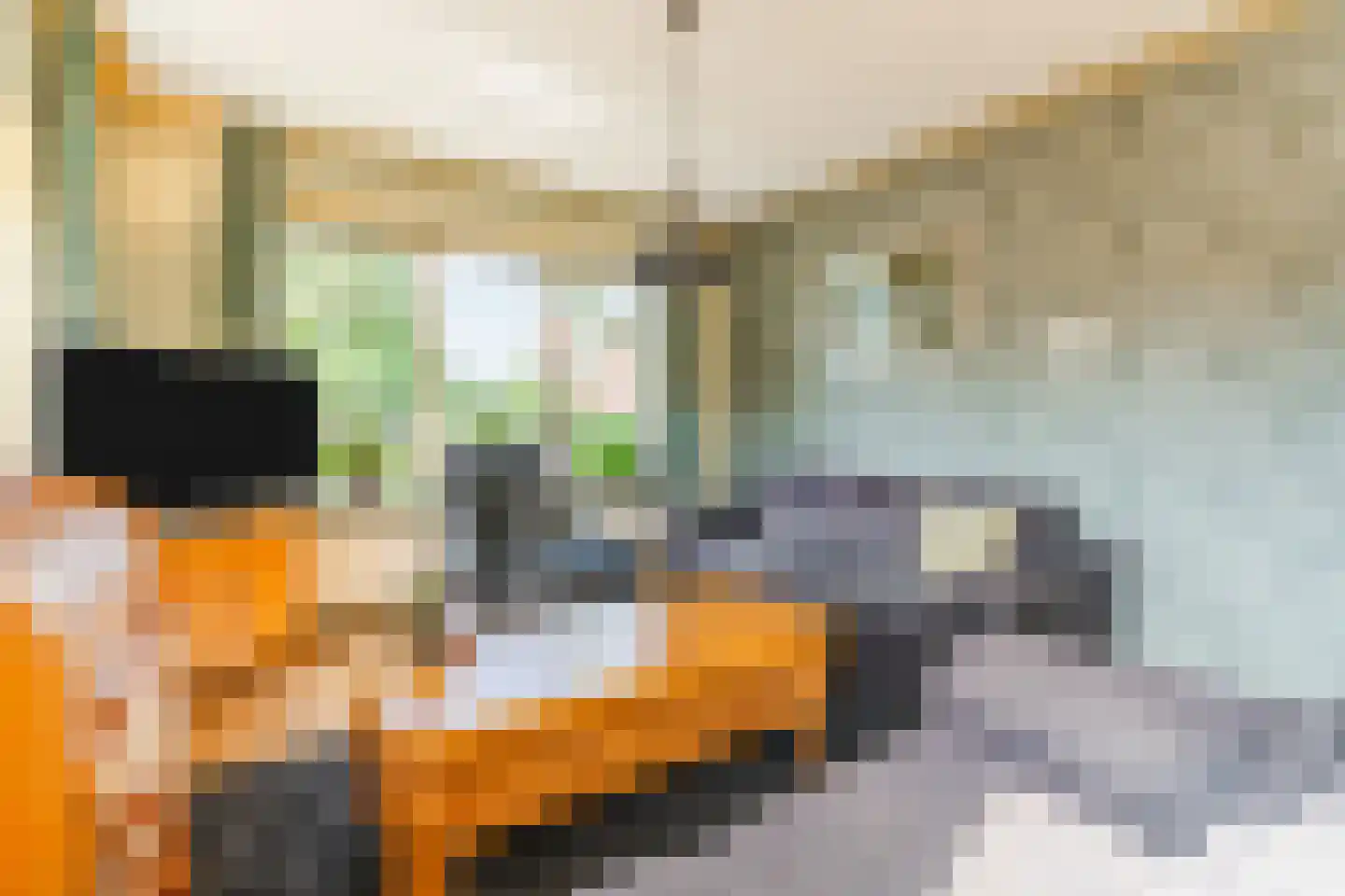 Ds A.C. van Raalteweg 26 Wanneperveen thumbnail 5