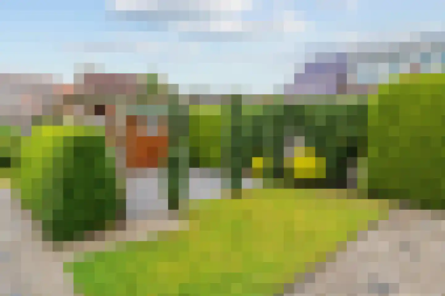Ds. A.J.W. Vogelaarstraat 5 Lemelerveld thumbnail 30