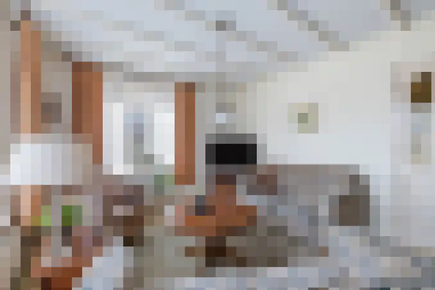 Ds. A.J.W. Vogelaarstraat 5 Lemelerveld thumbnail 6
