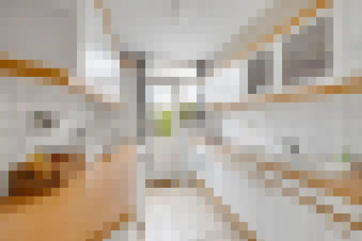 Ds A S Talmastraat 3 Zuidland thumbnail 4