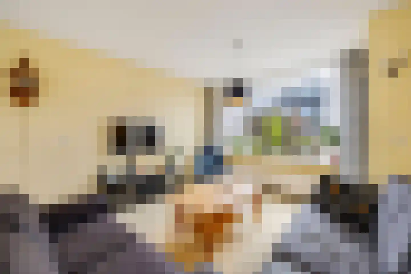 Ds A S Talmastraat 3 Zuidland thumbnail 9