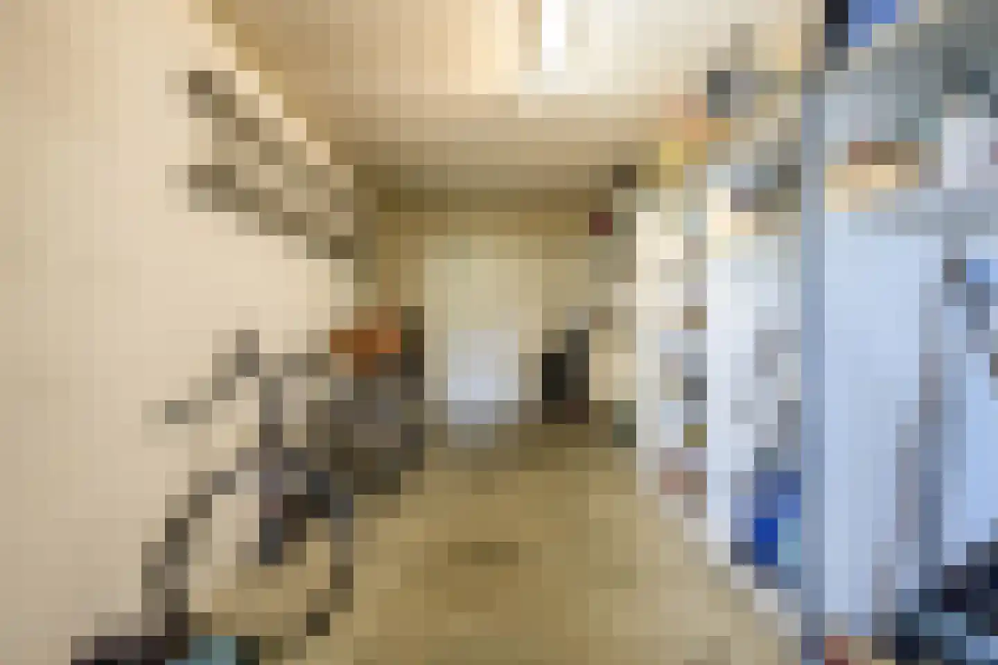 Ds. Allendorpstraat 29 Ridderkerk thumbnail 31