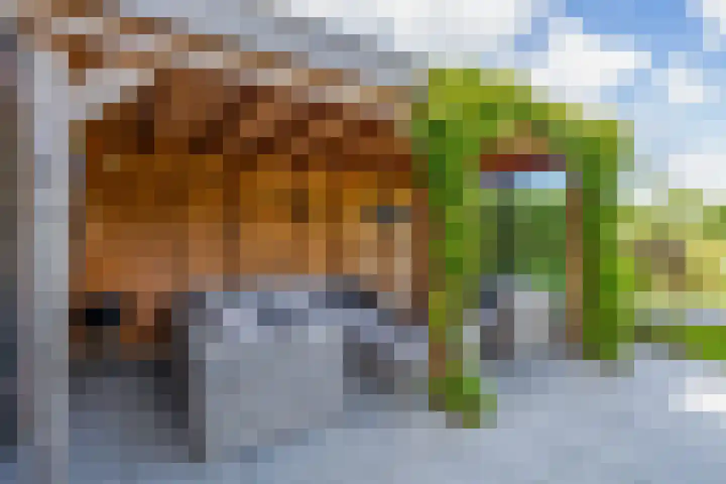 Ds. Allendorpstraat 29 Ridderkerk thumbnail 35