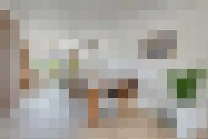 Ds. Allendorpstraat 38 Ridderkerk thumbnail 8