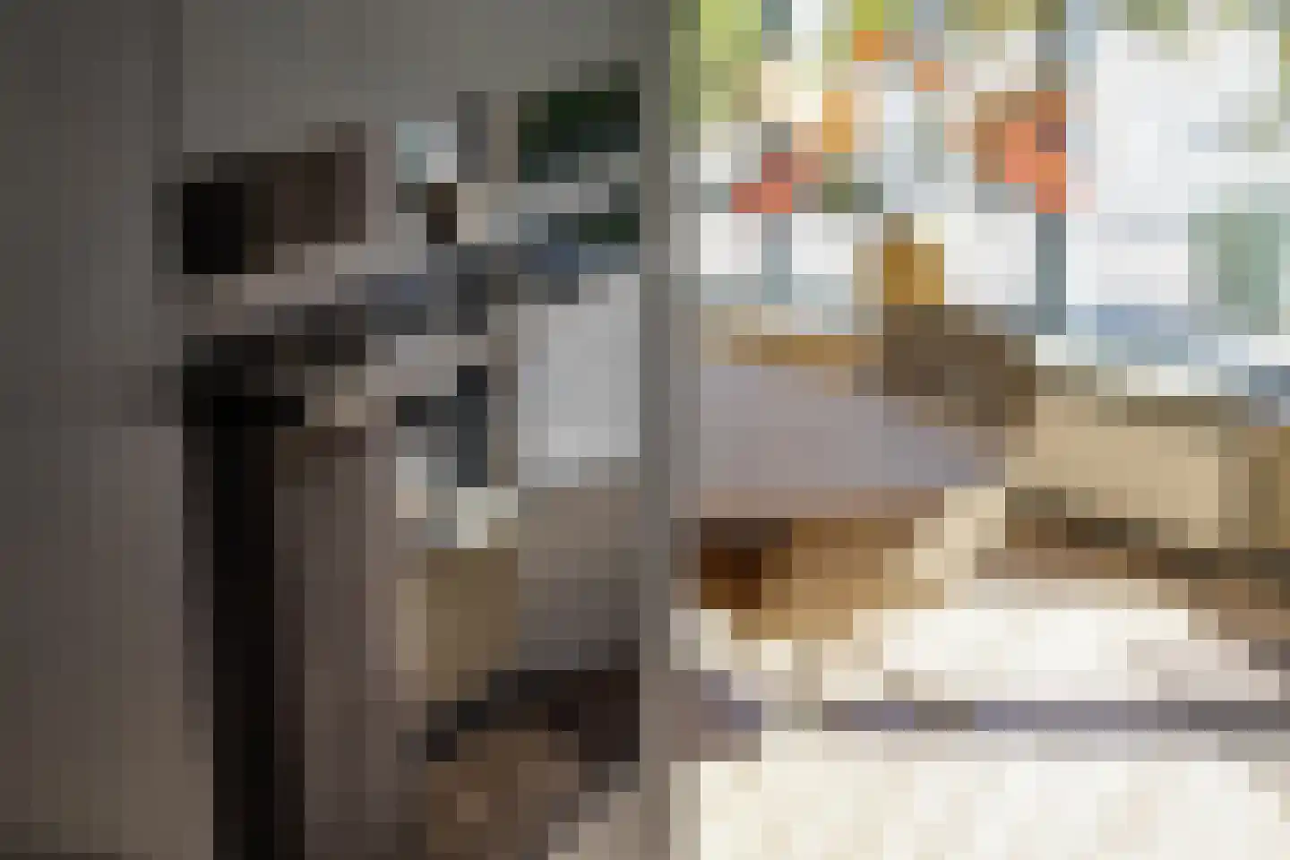 Ds. Allendorpstraat 52 Ridderkerk thumbnail 11