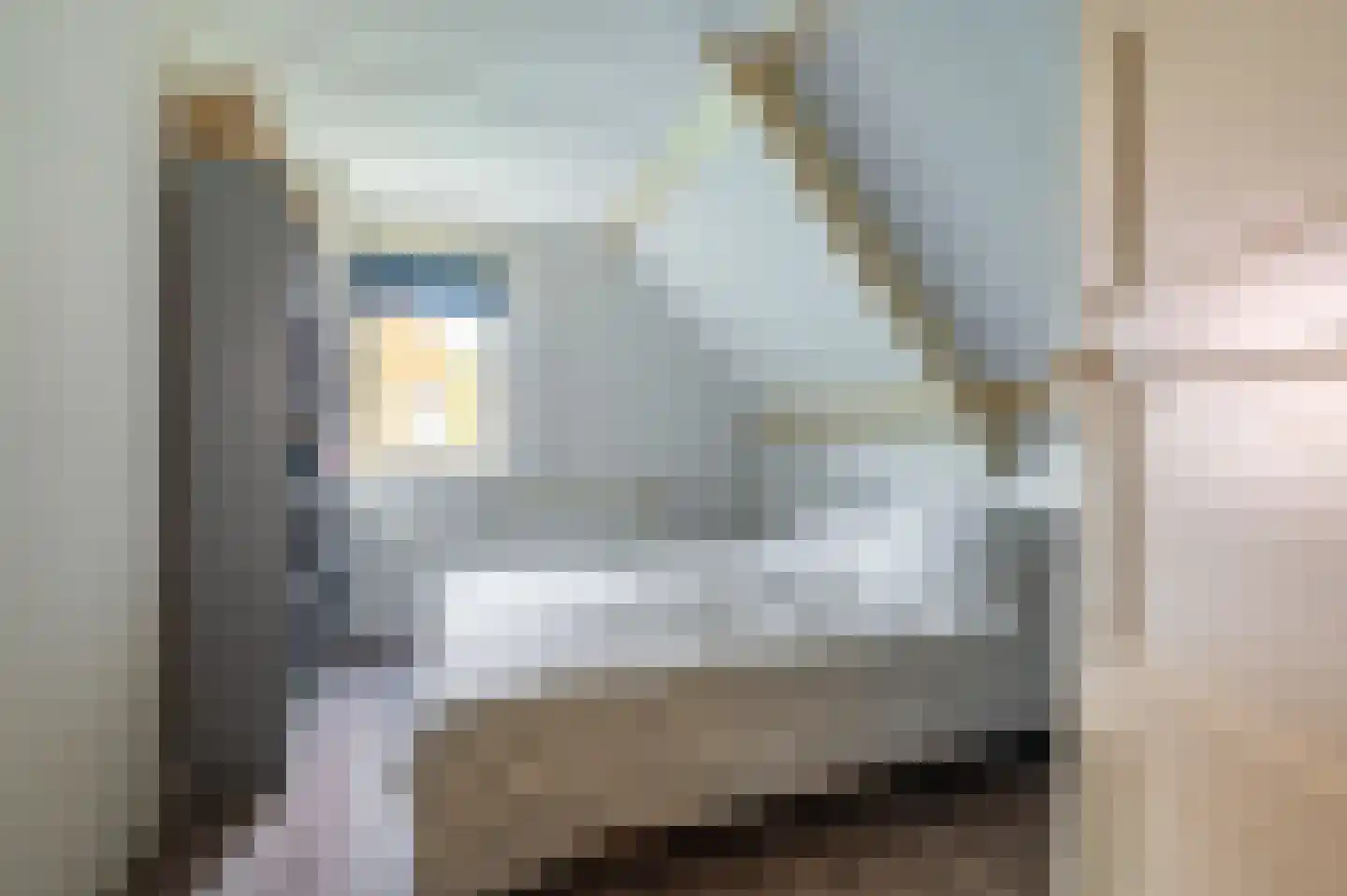Ds.B.J.Aderstraat 11 Drieborg thumbnail 25