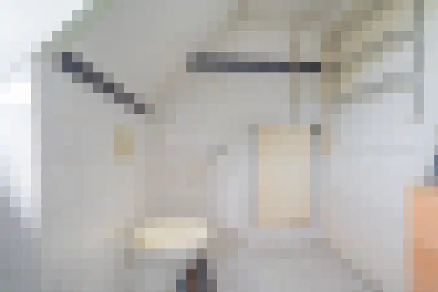 Ds.B.J.Aderstraat 11 Drieborg thumbnail 28