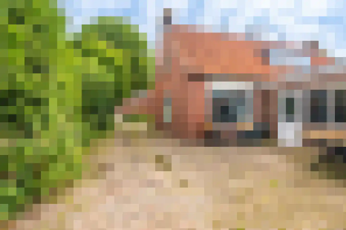 Ds.B.J.Aderstraat 11 Drieborg thumbnail 31