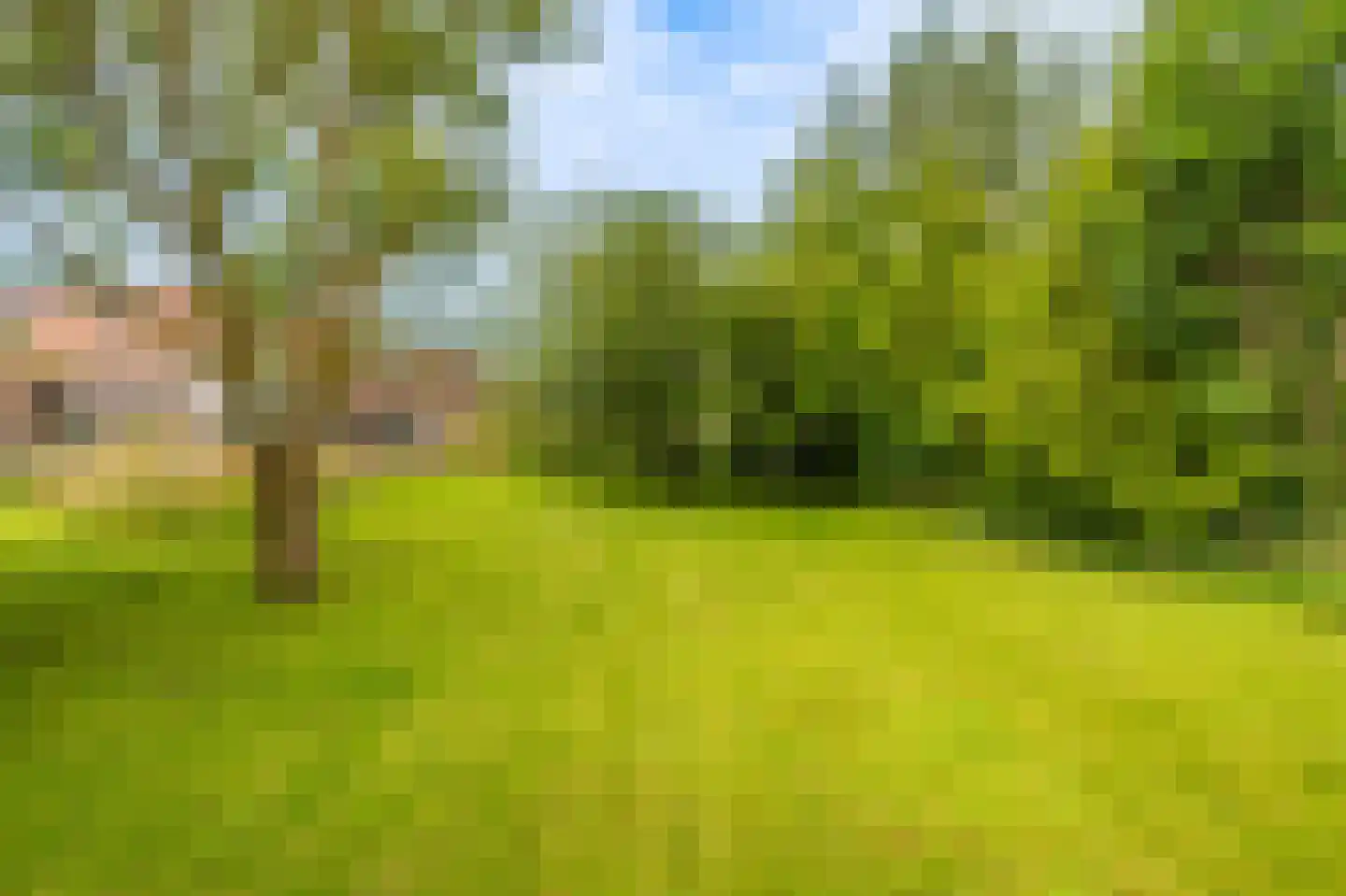 Ds.B.J.Aderstraat 11 Drieborg thumbnail 34
