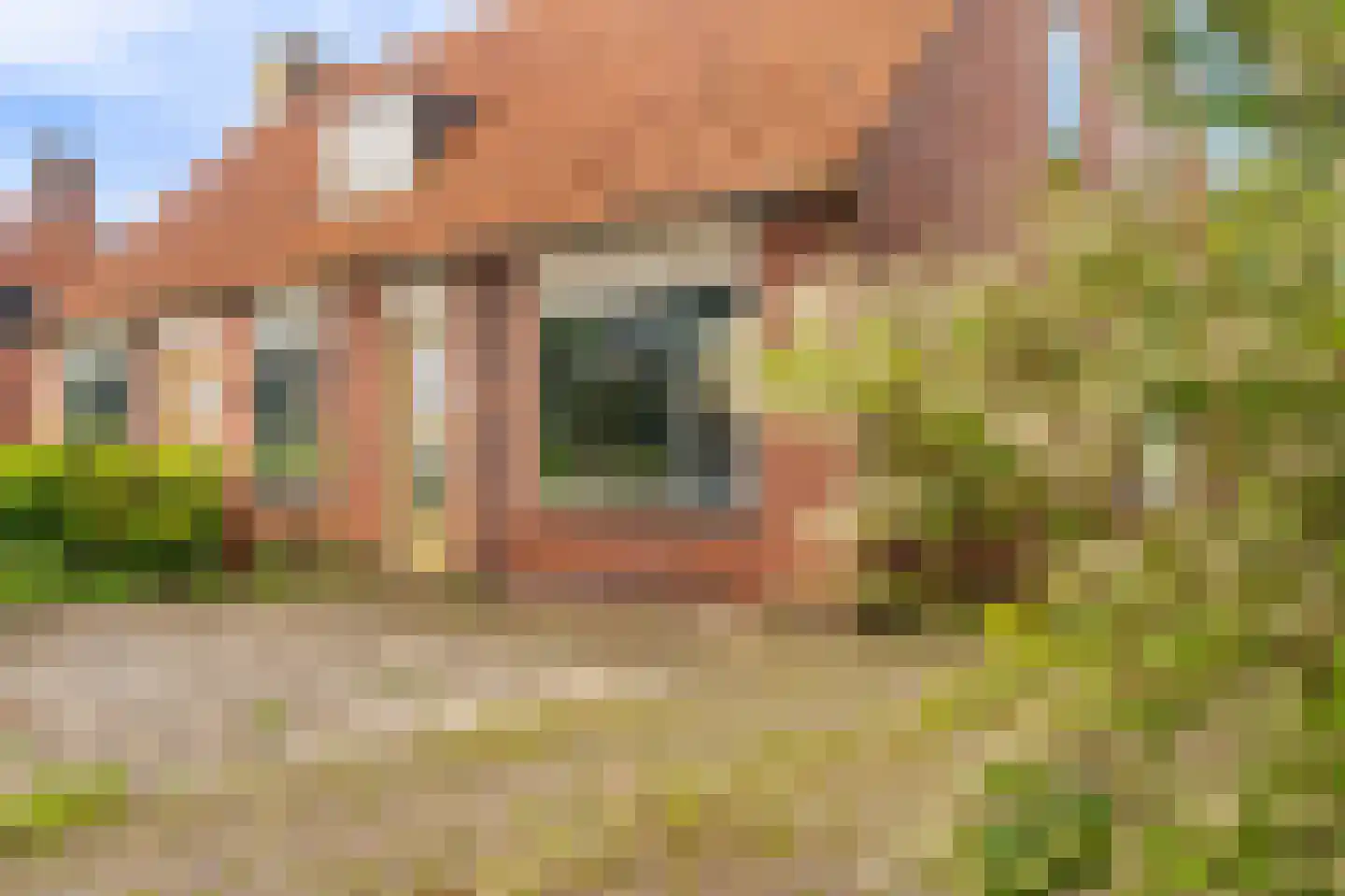 Ds.B.J.Aderstraat 11 Drieborg thumbnail 6