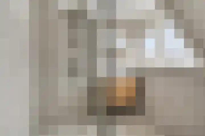 Ds.B.J.Aderstraat 15 Drieborg thumbnail 23