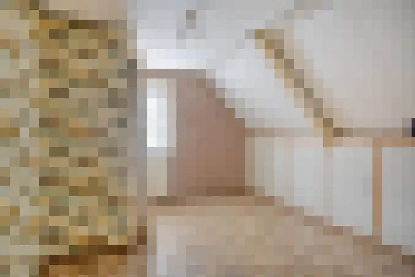 Ds.B.J.Aderstraat 17 Drieborg thumbnail 20