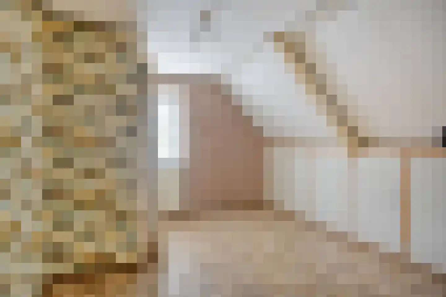 Ds.B.J.Aderstraat 17 Drieborg thumbnail 20
