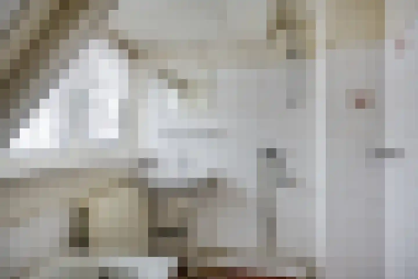 Ds.B.J.Aderstraat 17 Drieborg thumbnail 22