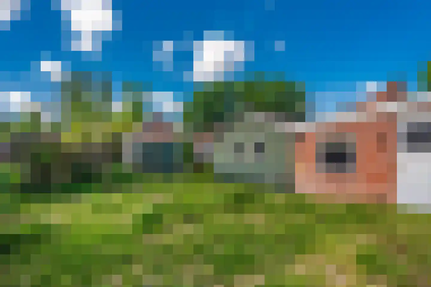 Ds.B.J.Aderstraat 17 Drieborg thumbnail 4