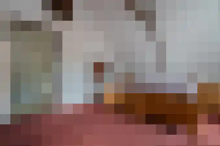 Ds.B.J.Aderstraat 5 Drieborg thumbnail 33