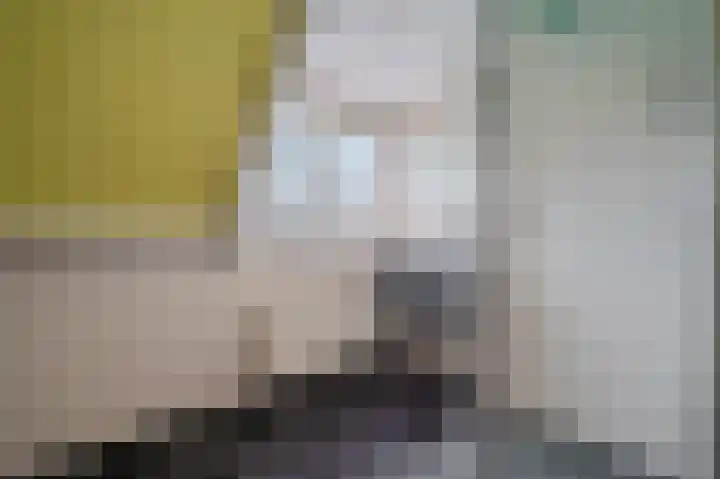 Ds.B.J.Aderstraat 5 Drieborg thumbnail 35