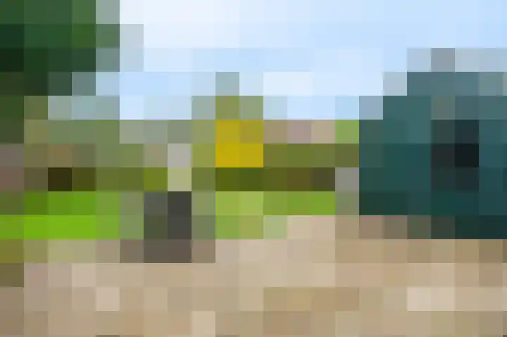Ds.B.J.Aderstraat 5 Drieborg thumbnail 37