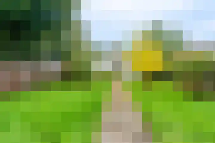 Ds.B.J.Aderstraat 5 Drieborg thumbnail 38