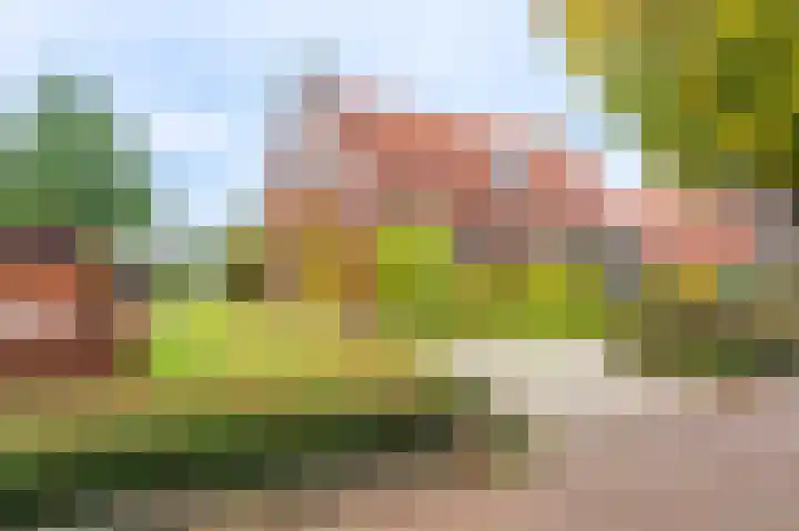 Ds.B.J.Aderstraat 5 Drieborg thumbnail 4