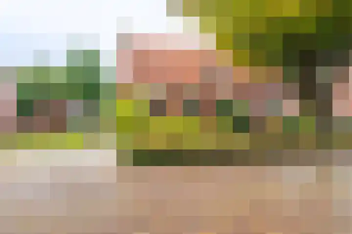 Ds.B.J.Aderstraat 5 Drieborg thumbnail 5