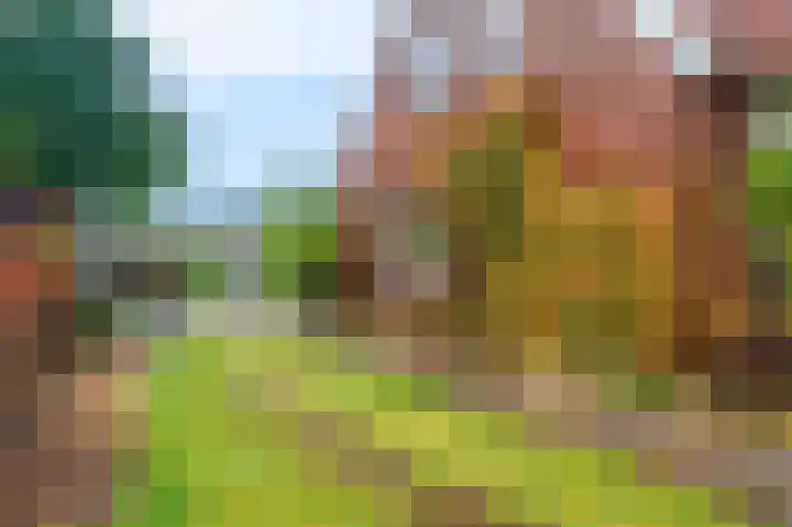 Ds.B.J.Aderstraat 5 Drieborg thumbnail 51