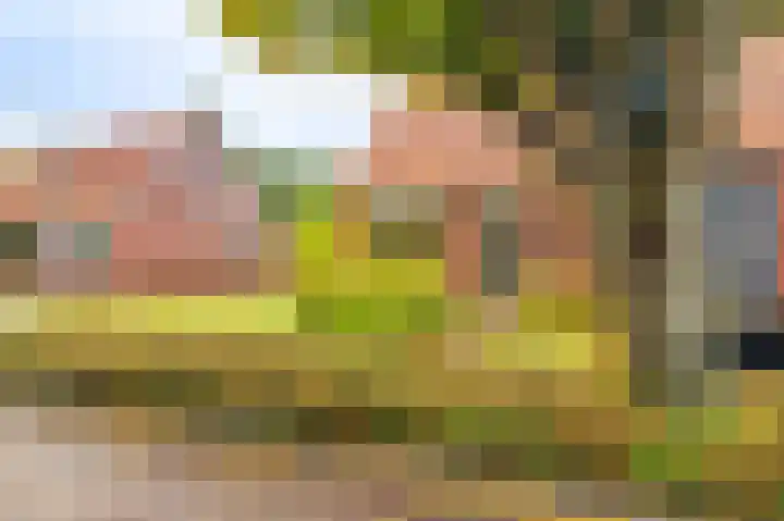 Ds.B.J.Aderstraat 5 Drieborg thumbnail 6