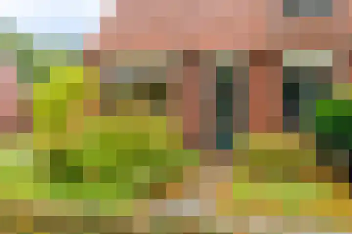 Ds.B.J.Aderstraat 5 Drieborg thumbnail 7
