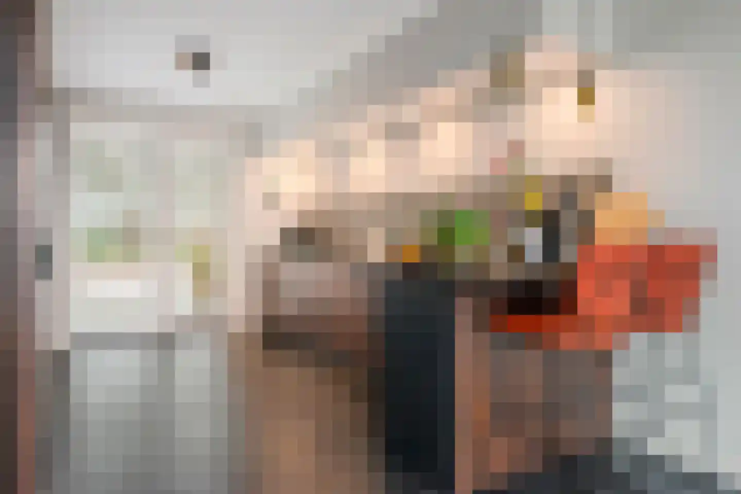 Ds. Bechtlaan 13 Arnhem thumbnail 15